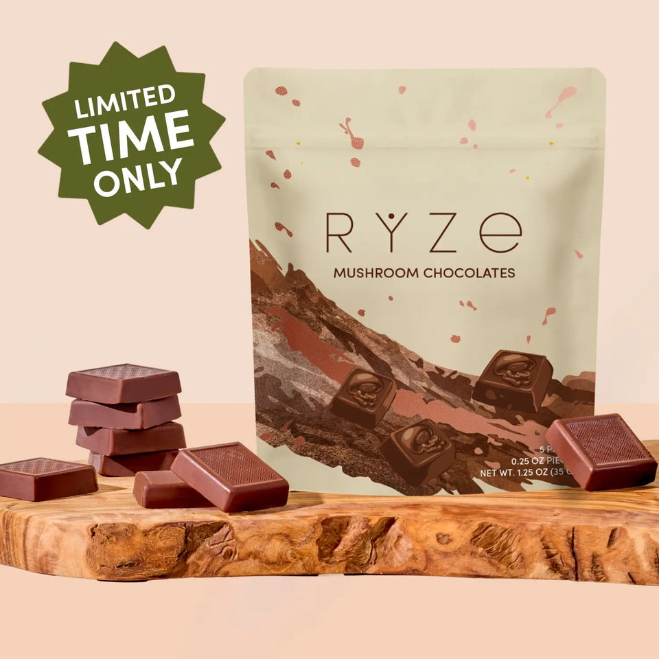 Mushroom Chocolates Rye (15 pieces) - Daily Treat