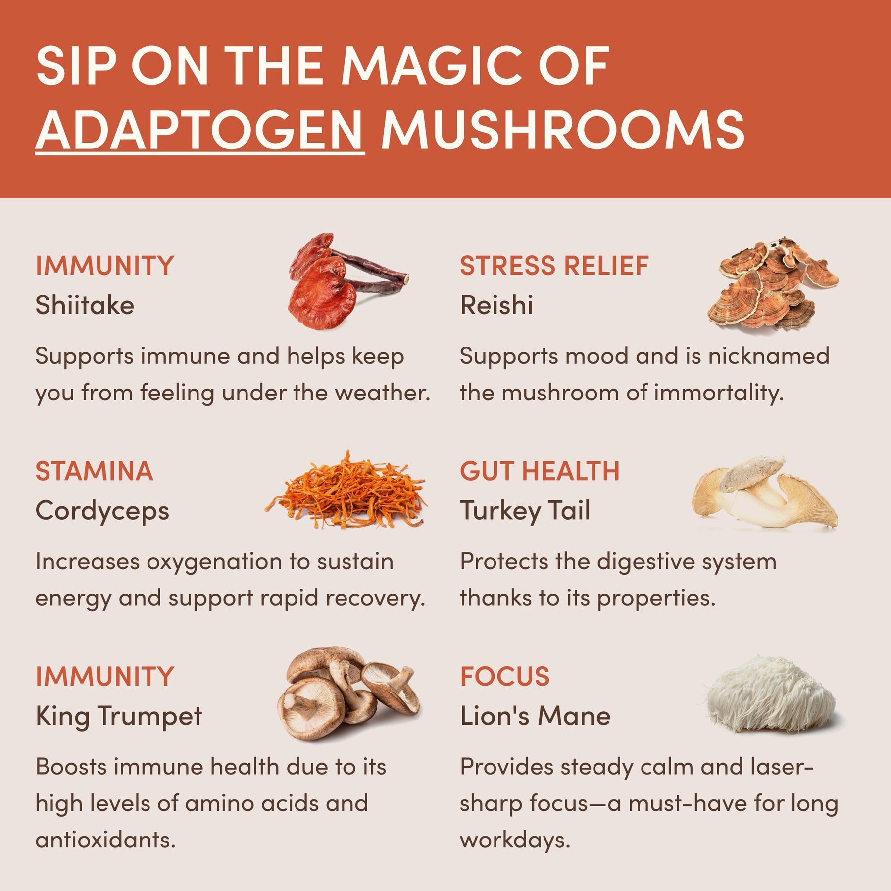 RYZE Image 05